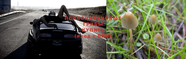 стаф Армянск