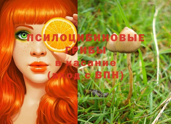 прущая мука Аркадак