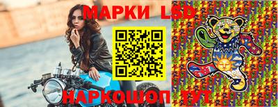 дмт Славгород