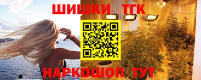 дмт Славгород