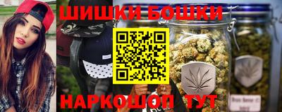 дмт Славгород