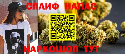 дмт Славгород