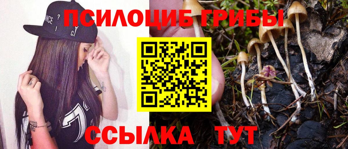 Псилоцибиновые грибы MAGIC MUSHROOMS  Галлюциногенные грибы Cubensis  Вход с VPN  Усть-Джегута 